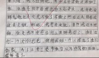 赞美环卫工人的作文 赞美环卫工人的作文