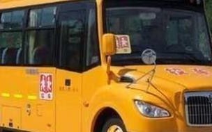 幼儿园校车需要什么驾照 幼儿园校车报价
