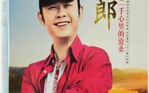 刀郎的经典歌曲歌词 刀郎经典歌曲有哪些